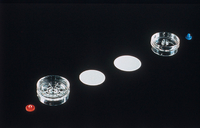 AAWG03700密理博MCE帶薄墊重量分析濾膜,0.8μm,37mm,白色,網(wǎng)格 AAWG03700密理博MCE帶薄墊重量分析濾膜,0.8μm,37mm,白色,網(wǎng)格