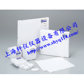 日本TOYO Advantec DP-70玻璃纖維濾紙 日本TOYO Advantec DP-70玻璃纖維濾紙