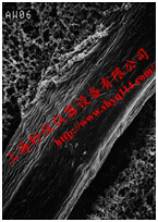 RW0304700密理博0.2um*47mm RW預(yù)過濾膜